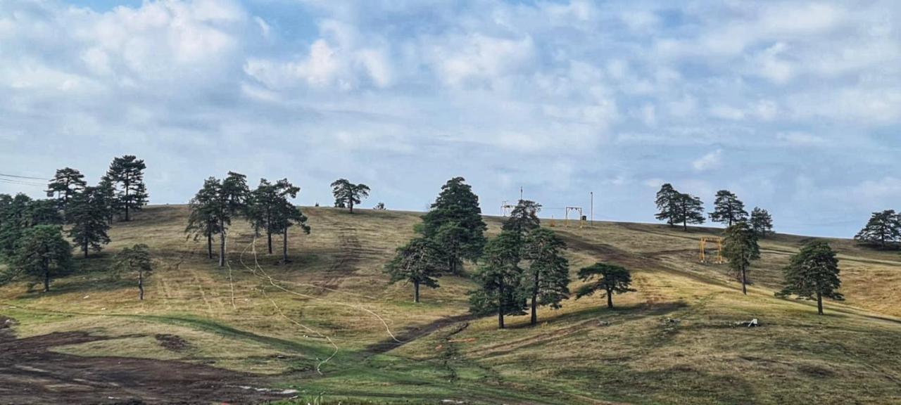 Ema * Zlatibor